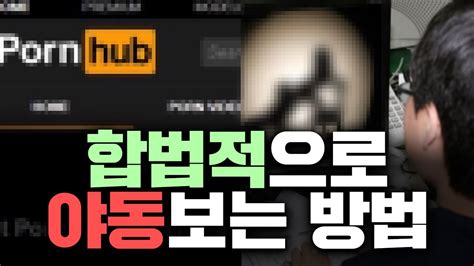 2024년에 야동 보는 방법 .